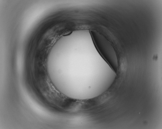 X0000110760764200906150929