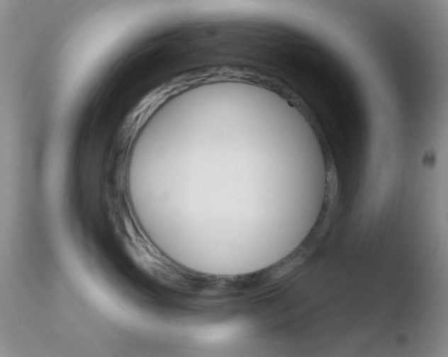 X0000110760765200906150929