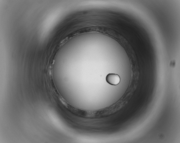 X0000110760766200906150930