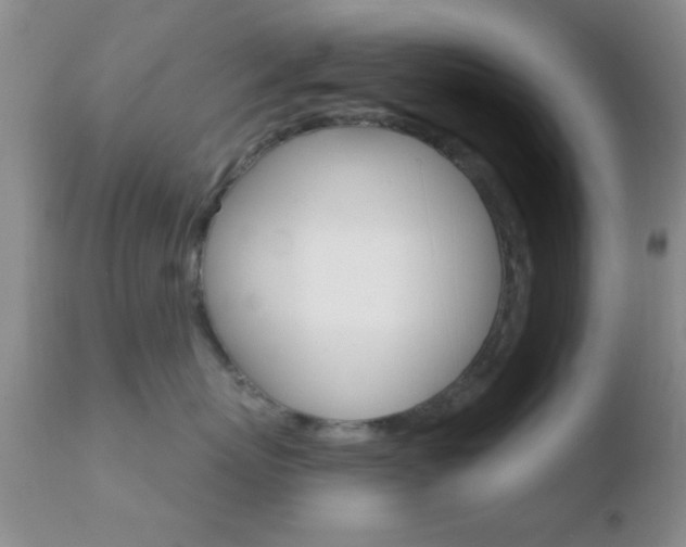 X0000110760767200906150930