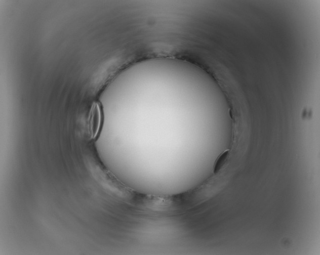 X0000110760768200906150930