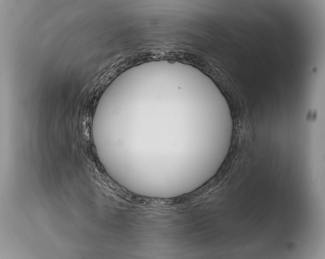 X0000110760770200906150929