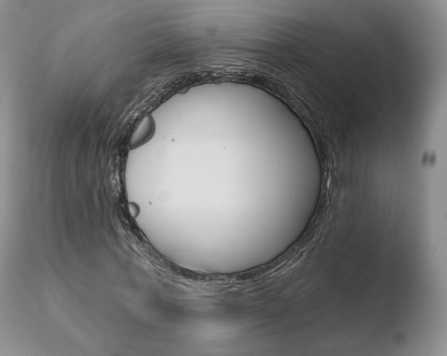 X0000110760771200906150929