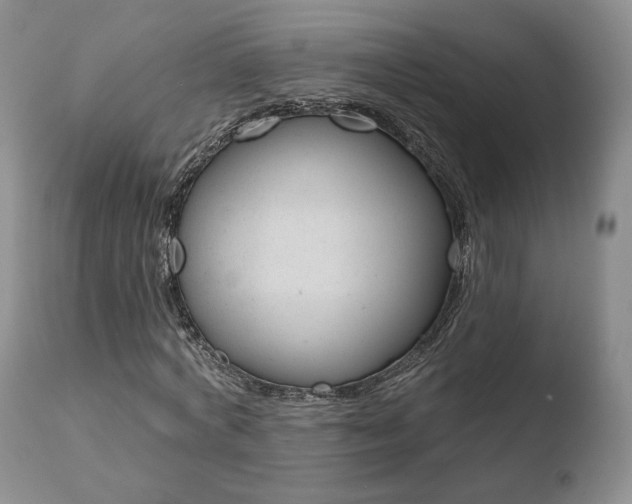 X0000110760772200906150929