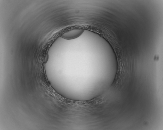 X0000110760773200906150929
