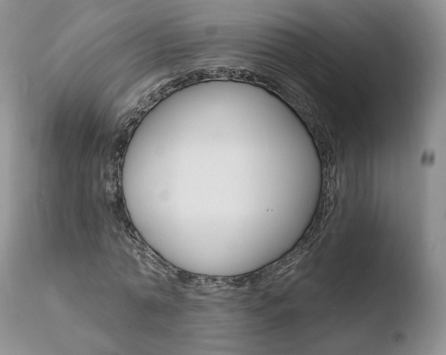X0000110760774200906150929