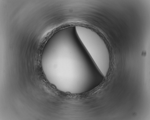 X0000110760775200906150929