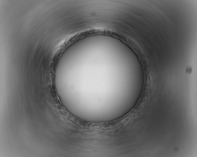 X0000110760776200906150929