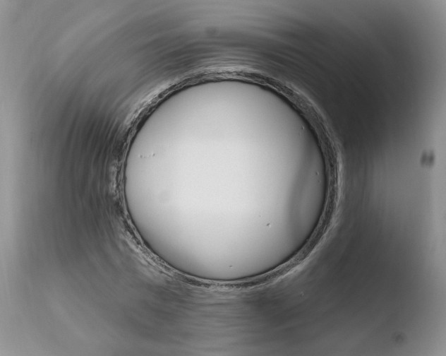 X0000110760777200906150929