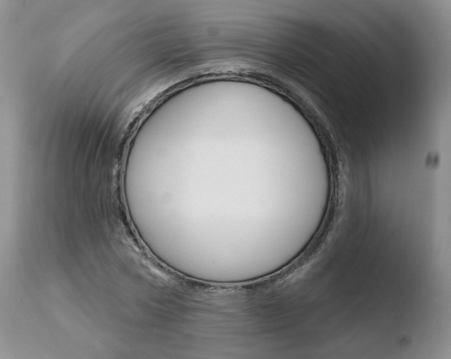 X0000110760778200906150929