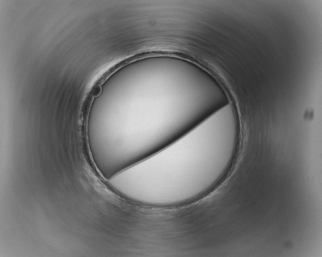 X0000110760779200906150929
