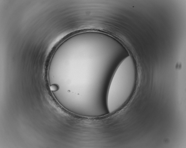 X0000110760780200906150929