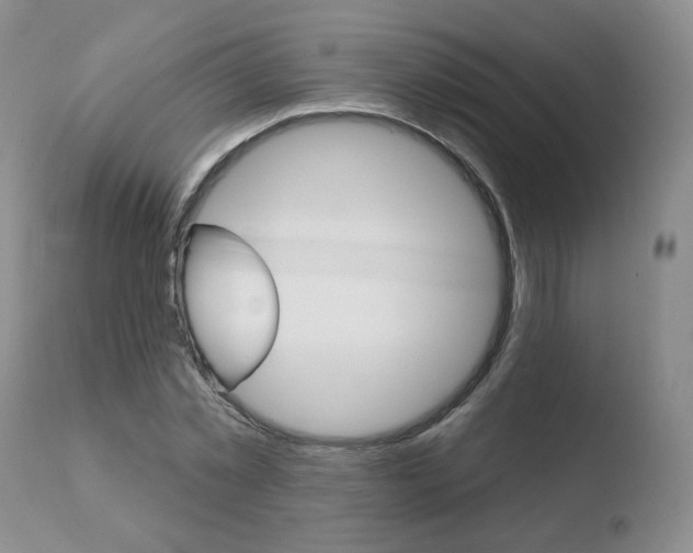 X0000110760781200906150929