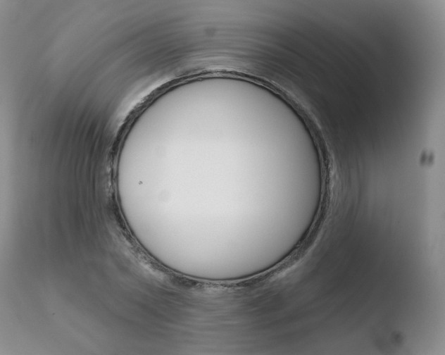 X0000110760782200906150929