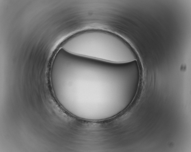 X0000110760783200906150929