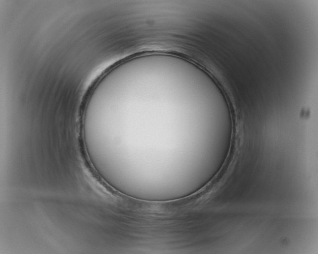 X0000110760787200906150928