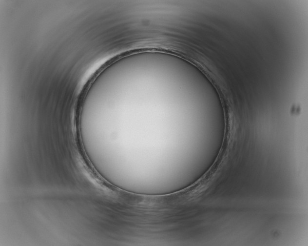 X0000110760788200906150928