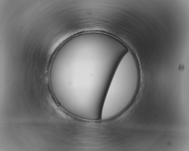 X0000110760789200906150928