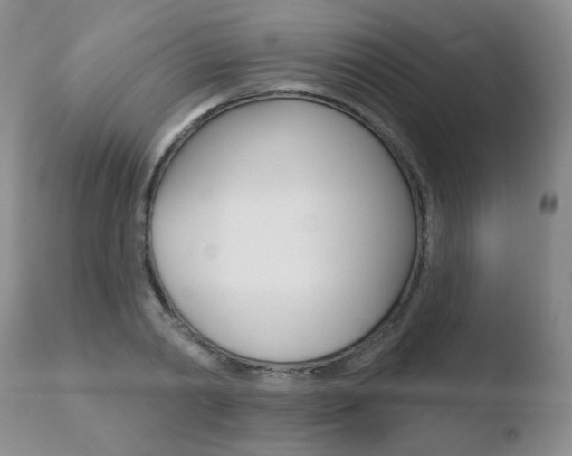 X0000110760790200906150928