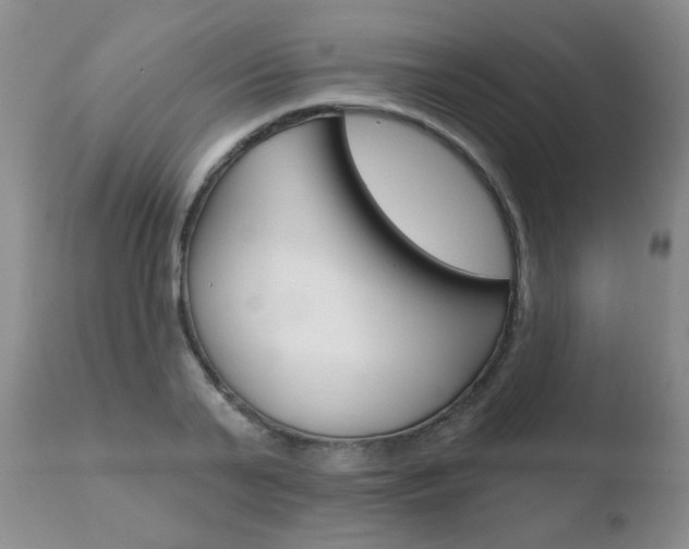X0000110760791200906150928