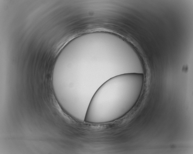 X0000110760793200906150928