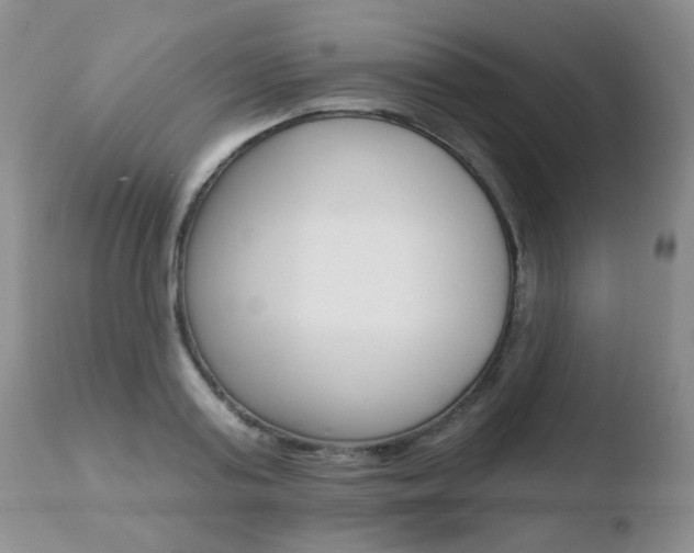X0000110760795200906150928