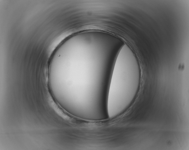 X0000110760796200906150928