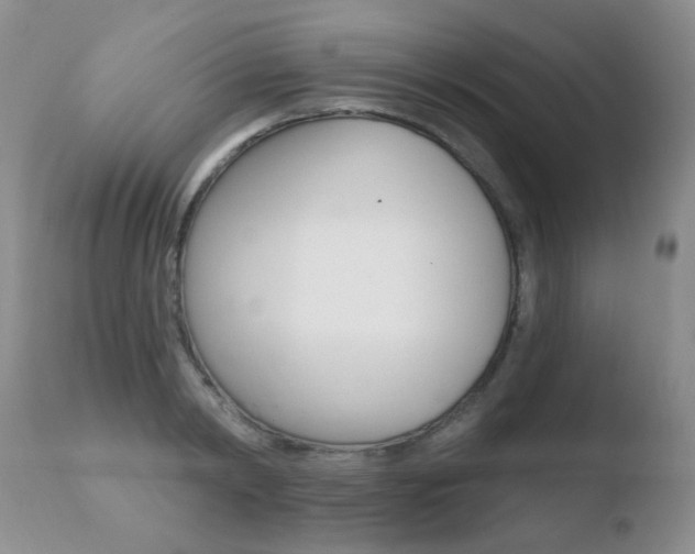 X0000110760798200906150928