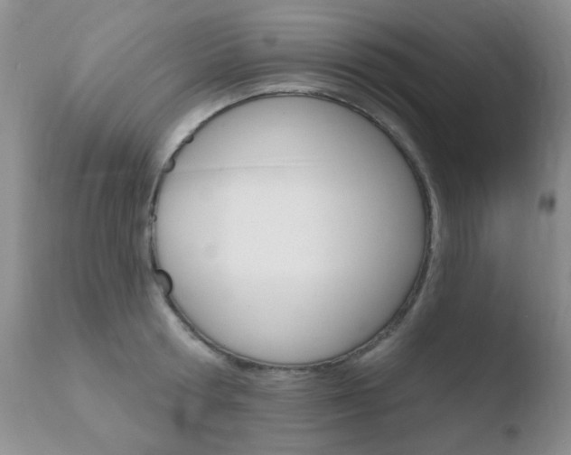 X0000110760802200906150928