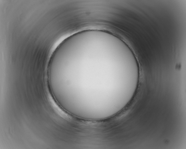 X0000110760803200906150928