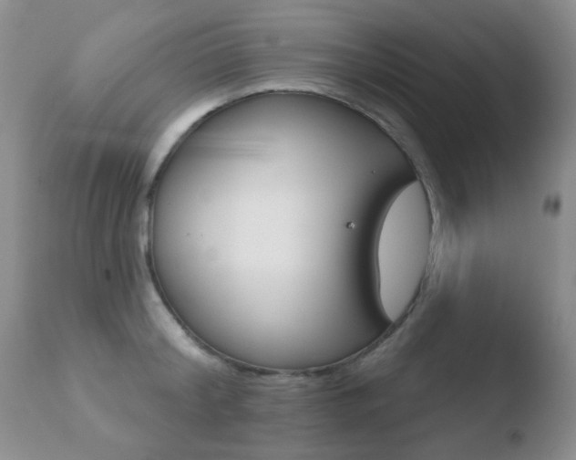 X0000110760804200906150928