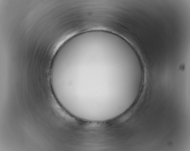 X0000110760806200906150928