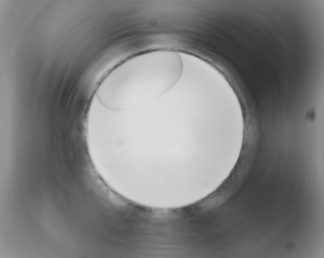 X0000110760807200906150928