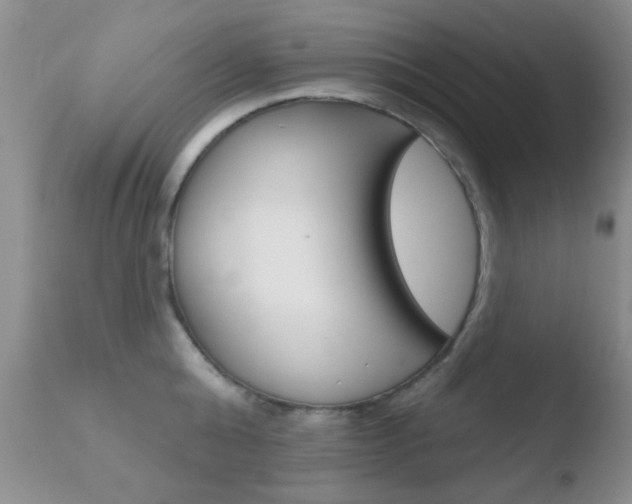 X0000110760808200906150928