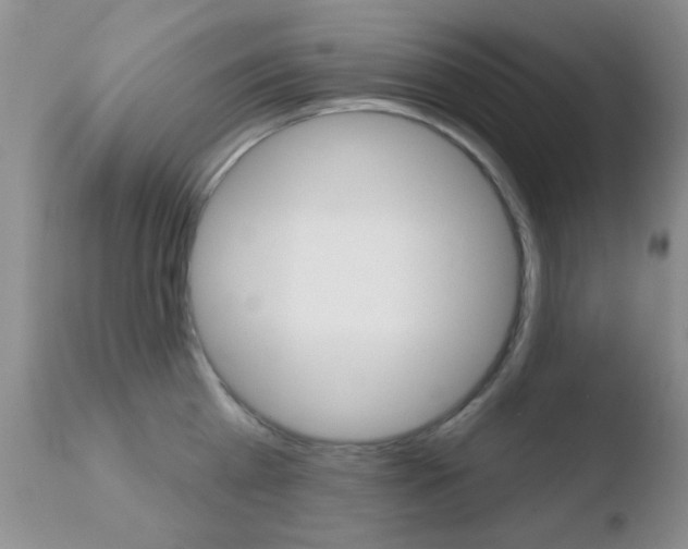 X0000110760809200906150928