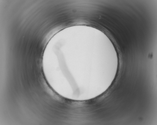 X0000110760810200906150928