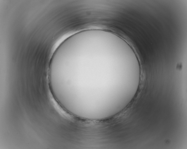 X0000110760811200906150928