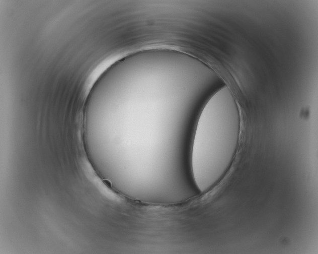 X0000110760812200906150928