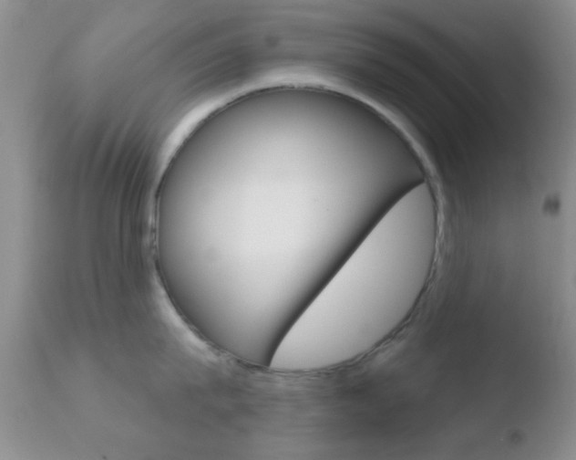X0000110760815200906150928