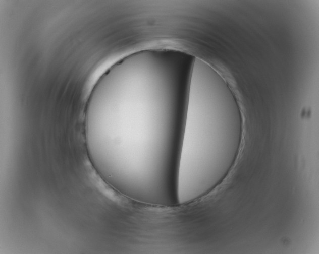 X0000110760816200906150928