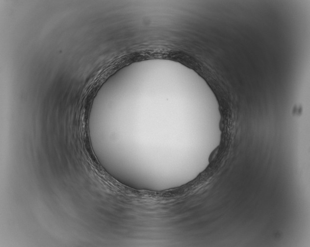 X0000110760818200906150927