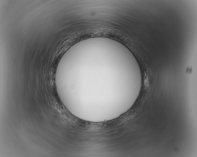 X0000110760819200906150927