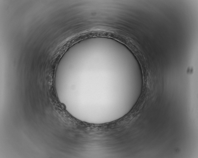 X0000110760821200906150927