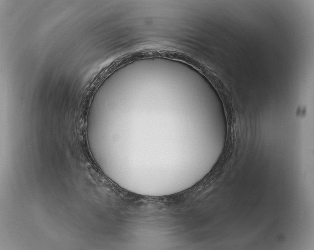 X0000110760822200906150927