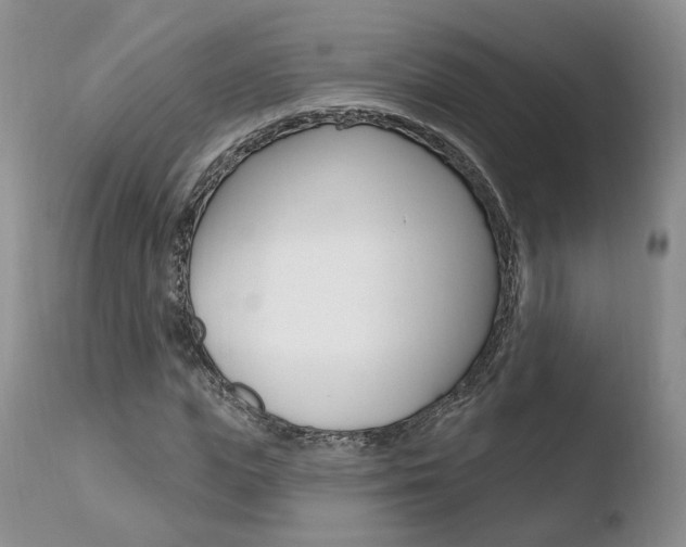 X0000110760823200906150927