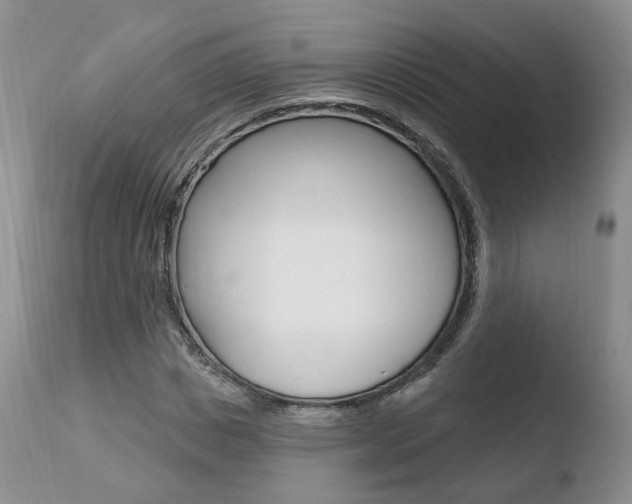 X0000110760825200906150928