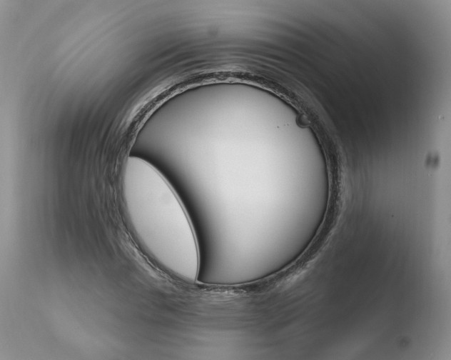 X0000110760826200906150928
