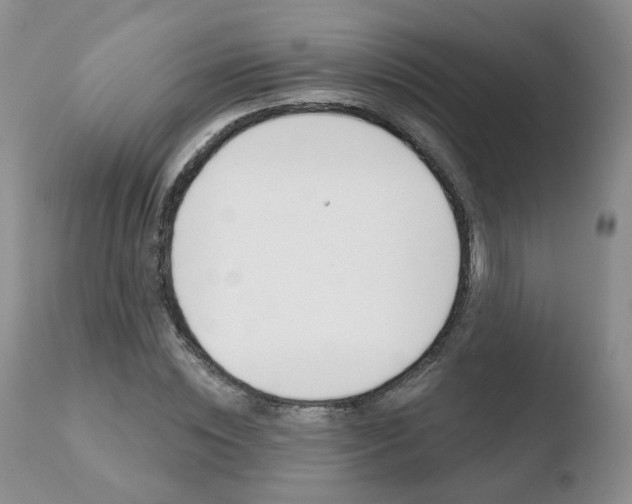 X0000110760828200906150928