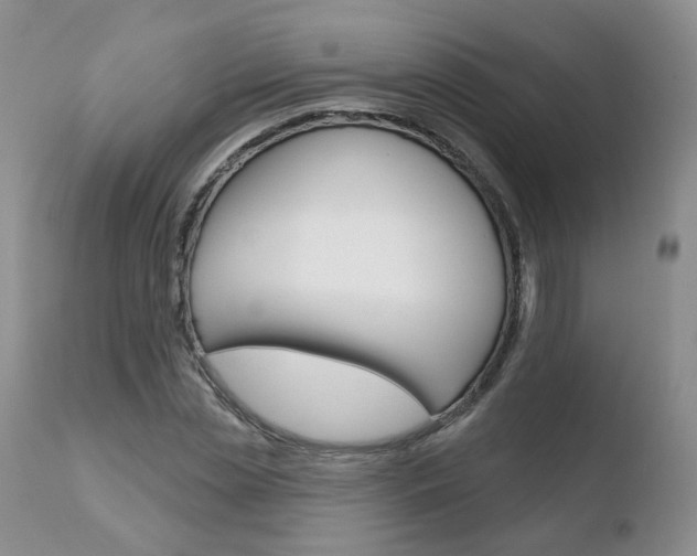 X0000110760829200906150928
