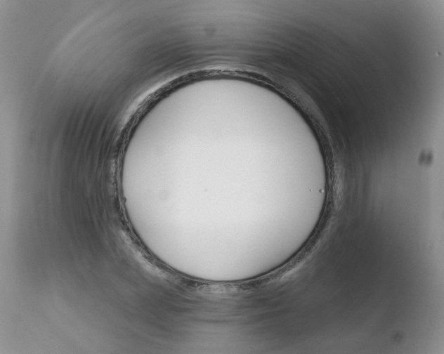 X0000110760831200906150928